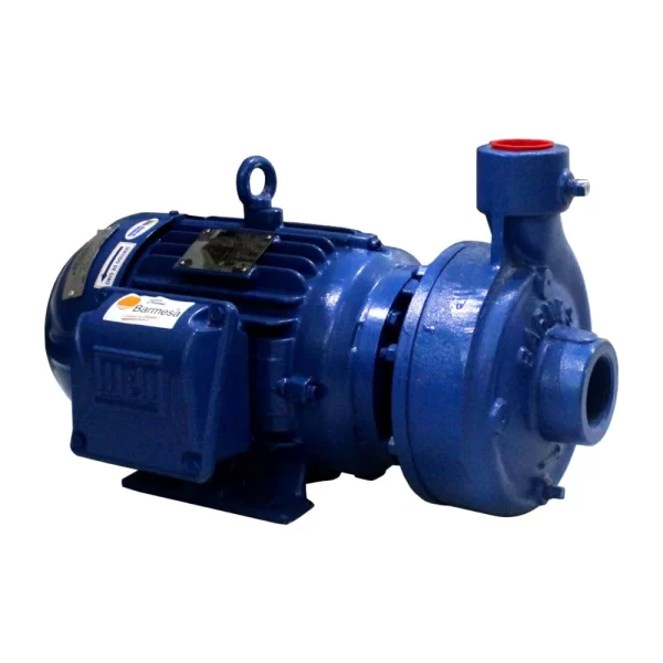 Bomba Centrifuga C / Motor 5Hp 3F Ib1-1 / 2-5-2 - Imagen 2